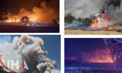 Avustralya Orman Yangınlarıyla Mücadele Ediyor