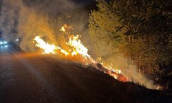 Yol Kenarında Çıkan Yangın Ormana Sıçradı