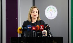 DEM Parti’li Doğan’dan Ortak Rapor Vurgusu