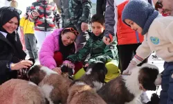 Pastırma İle Sucuk, Erciyes'in Sevilen Maskotları Oldu