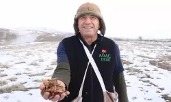 Ağaç Dede’si Olarak Bilinen İsim, Kayseri’de 1 Milyon Fidan Dikti