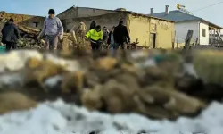 Üzerinde Kar Biriken Ağıl Çöktü, 40 Koyun Öldü