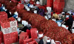 Gaziantep Pul Biber İhracatında 5 Milyon Dolara Ulaştı