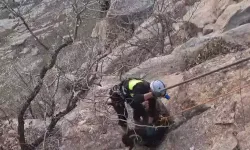 Kayalıklarda Mahsur 2 Keçi Siirt’te Kurtarıldı