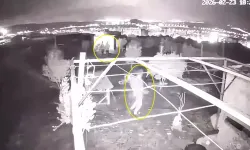 Güvercin Hırsızlığı Güvenlik Kamerasına Yansıdı
