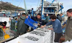 Karadeniz’de Balık Avında Rekor: 30 Ton Hamsi