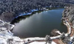 Gölcük Tabiat Parkı’nda Mangal Kanserojen Etki Yaratıyor