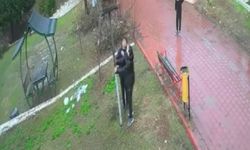 Adana’daki Parkta Çocukların Kuş Yuvasını Parçalaması Tepki Topladı