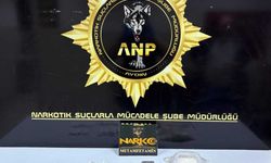 Aydın’da 815 Gram Yasaklı Madde Ele Geçirildi: 1 Tutuklama