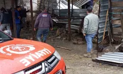 Sağanak Aydın’da istinat duvarını çökertti dört koyun öldü