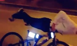 Bisiklet Kazasında Ağır Yaralanan Barış Kurtarılamadı