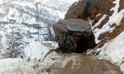 Bitlis’te heyelan köy yollarında ulaşımı aksattı