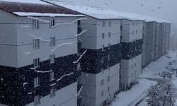 Bitlis'te Ulaşıma Kapanan 125 Yol Açıldı