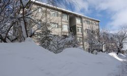 Bitlis’te Kardan Kapanan 254 Köy Yolu Ulaşıma Açıldı