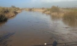 Büyük Menderes Taştı, Köşk’te Tarım Alanları Sular Altında