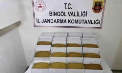 Bingöl’de Kaymakam Güzel, Neriman Toylan’a Konuk Oldu