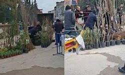 Seyyar Satıcılar Zabıtalara Bıçakla Saldırdı