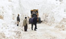 Van Çatak’ta Çığın Kapattığı Mezra Yolu 13 Gün Sonra Açıldı