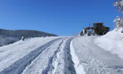 Bingöl Adaklı’da Kar Tatili Kararı