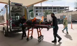 Budadığı Ceviz Ağacından Düşüp Yaralandı