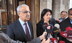 DEM Parti’li Sancar’dan Rapor Açıklaması