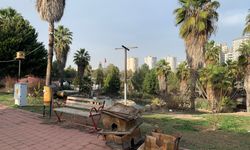 Dinozor Park’ta Kuş Yuvalarının Parçalanmasına Tepki