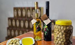 Dr. Kahraman: Tavşan Yüreği Zeytinyağı Kemoterapi Kadar Etkili