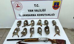 Durdurulan Araçta Ruhsatsız Tüfekle Vurulmuş 12 Keklik Ele Geçti