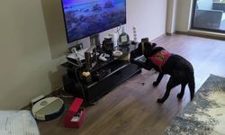 Düzce’de suç örgütü soruşturmasında 36 kişi gözaltına alındı