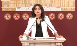 DEM Partili Koçyiğit: Rapor, Ülkenin Geleceği İçin Kritik Bir Eşik