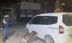 Denizli’de Polisten Kaçan Aday Sürücünün Ehliyeti Alındı