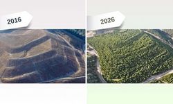 Maden Sahası Rehabilitasyon Çalışmalarıyla Yeşerdi