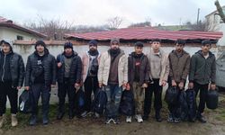 Edirne’de 9 Kaçak Göçmen Yakalandı