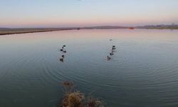 Edirne’de Kaçak Avcılığa 762 Bin Liralık Ceza