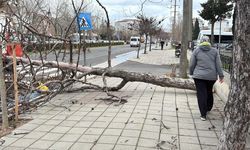 Edirne Ve Kırklareli’nde Kuvvetli Fırtına Uyarısı