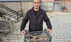 Su Çekilince Ortaya Çıkan Küplerde İnsan Kemikleri Tespit Edildi