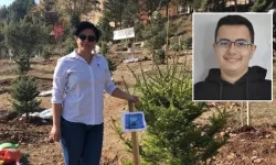 Bolu’da Çifte Acı: Evladının Mezarında Fenalaşan Anne Hayatını Kaybetti