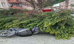 Çanakkale’de Fırtına Ağaçları Devirdi, Balkon Duvarı Yıktı