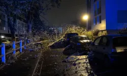 Fransa'da Hortum Felaketi: 300’den Fazla Eve Zarar Verdi