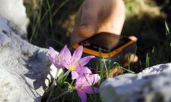 Orkidelerde Kaçak Söküm Alarmı; GPS Verileri İncelendi