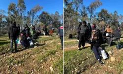 Kaçak Göçmenleri “Dağın Arkası İstanbul” Diyerek Bıraktılar