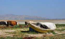 Marmara Gölü'nde su biriken bölgeler dronla kaydedildi