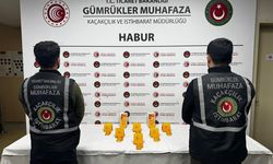 Habur’da 41 Kilo Kaçak Altın Ele Geçirildi; 12 Gözaltı
