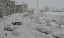 Hakkari'de Kar Esareti: Yüzlerce Yol Ulaşıma Kapandı