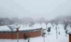 Hakkari’de sis kent genelinde etkisini gösterdi