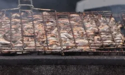 Bahçelievler Hamsi Festivali’nde 5 Ton Balık Dağıtıldı