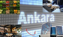 Denetim Mekanizması Yeterisiz