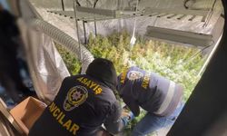 Avcılar’da Metruk Binada Yasaklı Madde İmalathanesi Bulundu