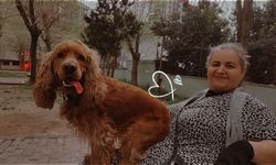 Kağıthane’de taburcu sonrası kadınla ilgili inceleme sürüyor