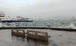 İzmir’de Kuvvetli Rüzgarda Park Halindeki Otomobilin Üzerine Ağaç Devirdi